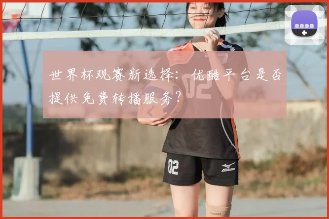 世界杯观赛新选择：优酷平台是否提供免费转播服务？