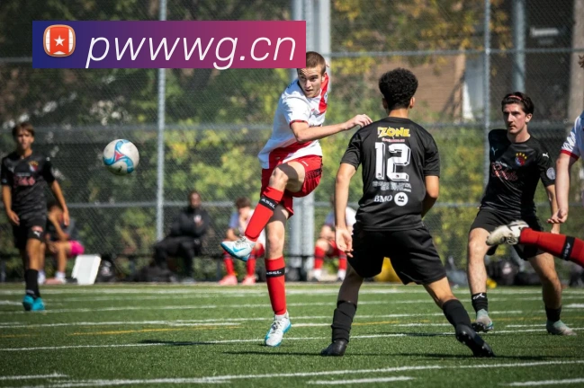 人人体育在线直播发展历程